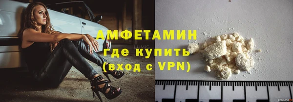 ГАЛЛЮЦИНОГЕННЫЕ ГРИБЫ Лагань