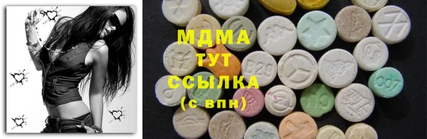 ГАЛЛЮЦИНОГЕННЫЕ ГРИБЫ Лагань