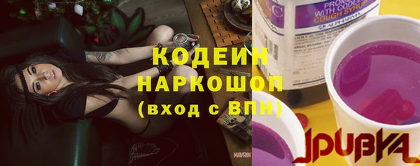 ГАЛЛЮЦИНОГЕННЫЕ ГРИБЫ Лагань
