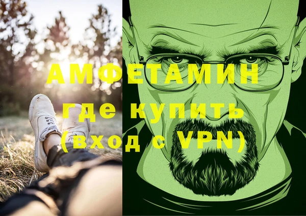 ГАЛЛЮЦИНОГЕННЫЕ ГРИБЫ Лагань