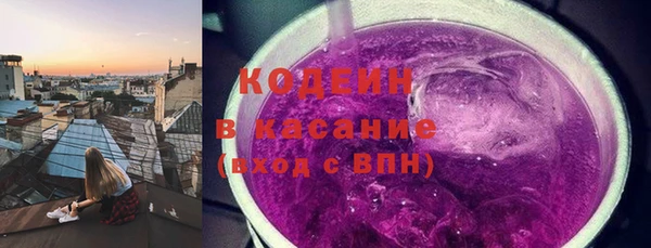 ГАЛЛЮЦИНОГЕННЫЕ ГРИБЫ Лагань