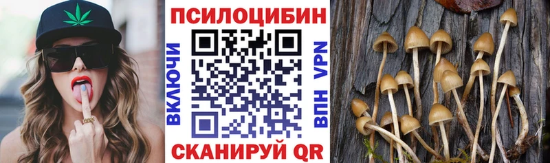 Псилоцибиновые грибы Psilocybine cubensis  Купить где  Белово 